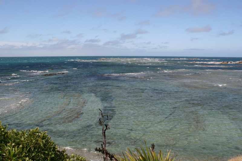 Nieuw-Zeeland 2011 - 1116